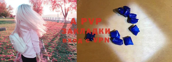 спиды Аркадак